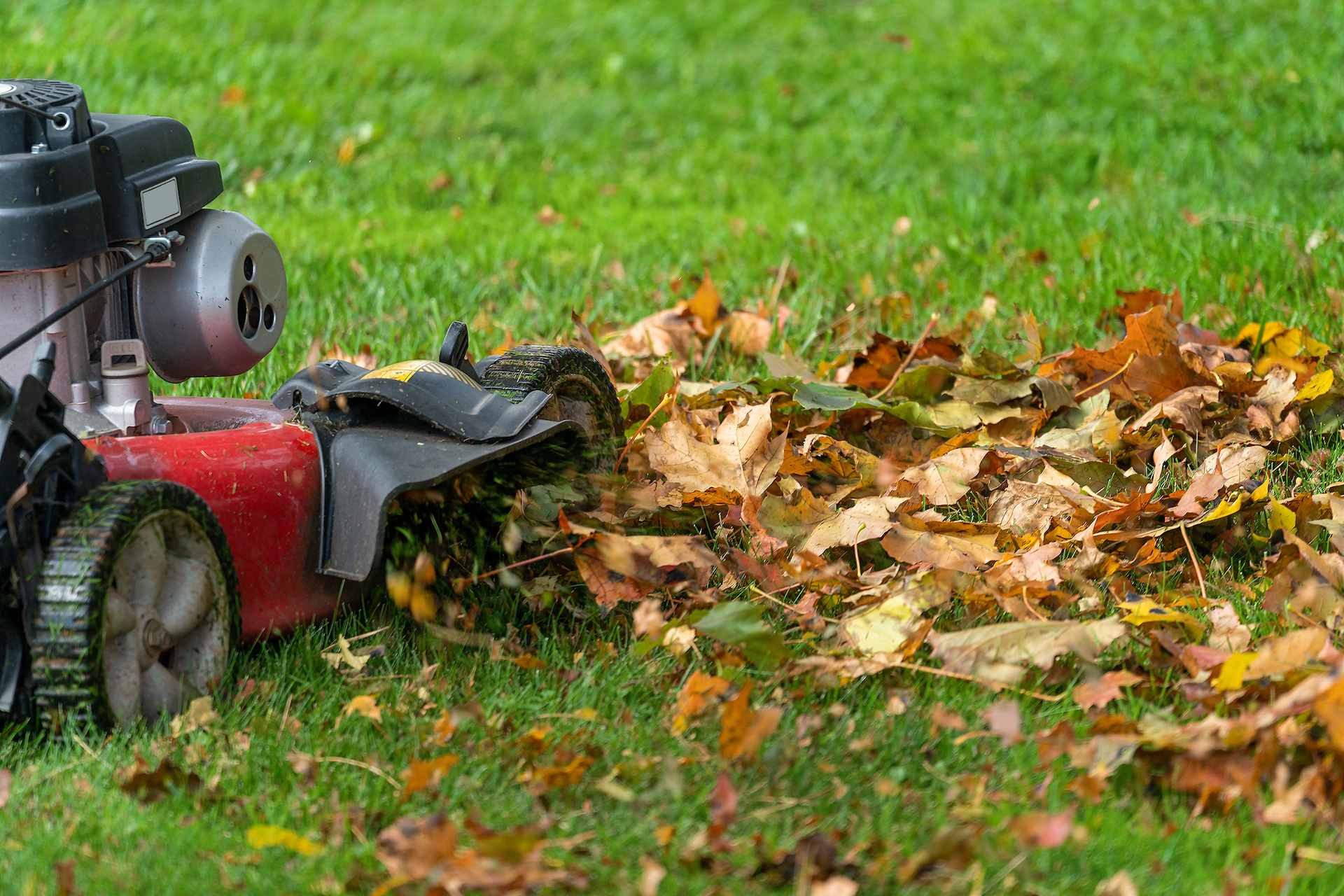 5 Ways to Prep Your Yard for Fall