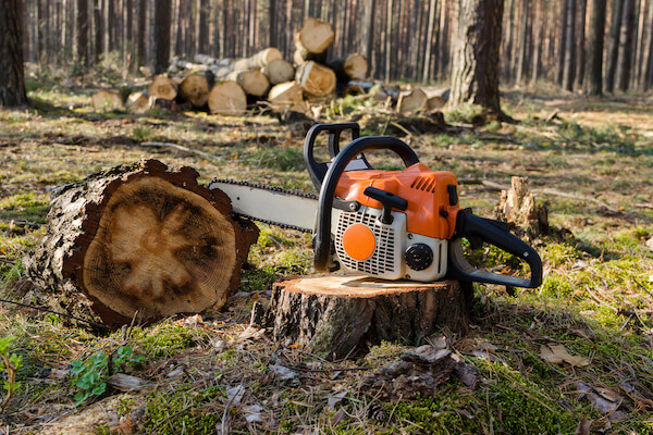 winterize your chainsaw