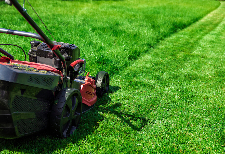 Mowing Techniques for a Pristine Lawn